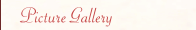 Picture Gallery