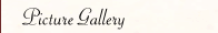 Picture Gallery
